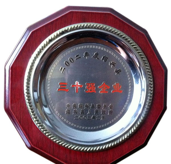 绍兴县三十强企业 - 副本.jpg